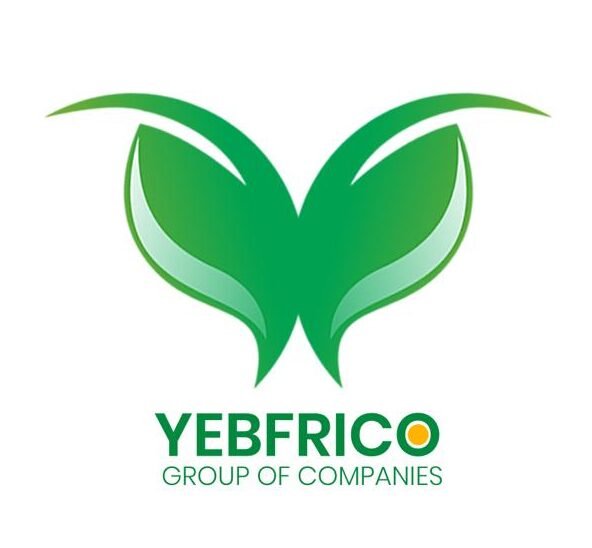 Website Design & Digital Solutions